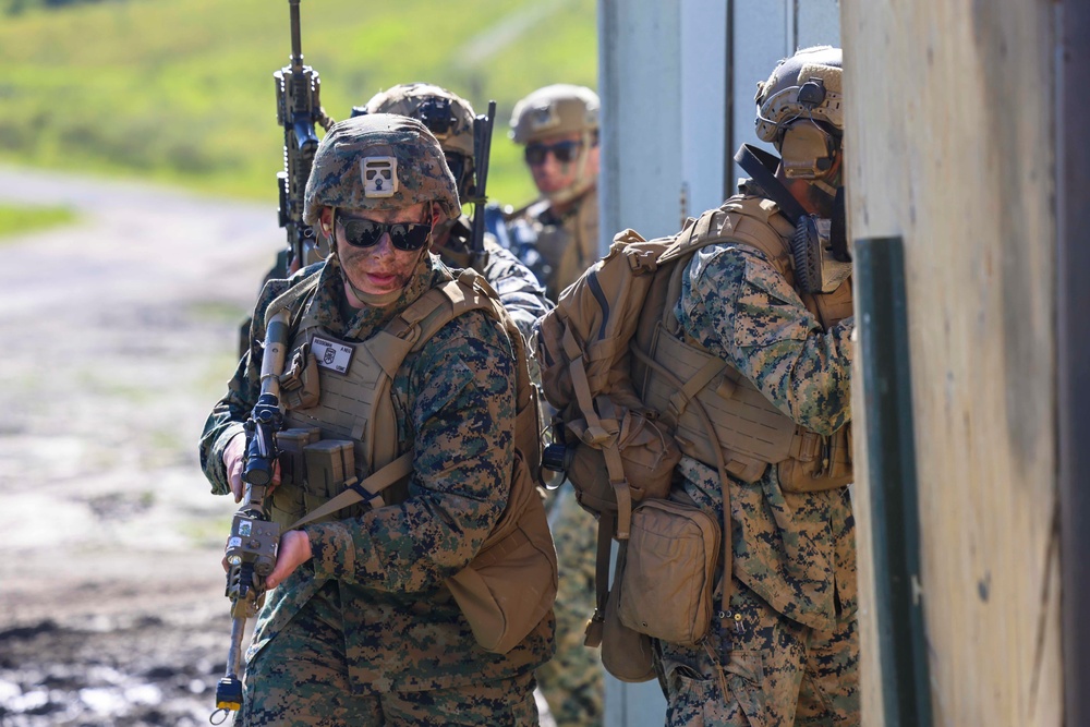 DVIDS - Images - 2nd Battalion, 1st Marines conduct a simulated air ...