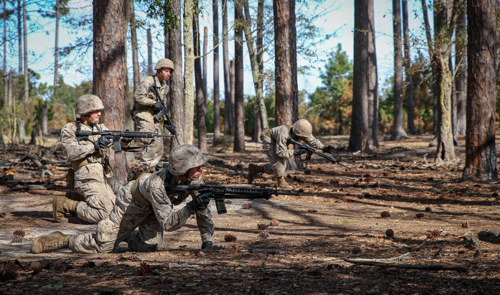 Charlie Company Basic Warrior Training