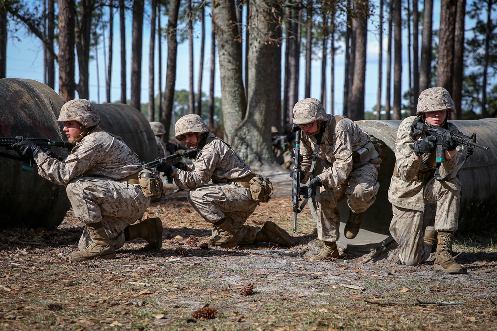 Charlie Company Basic Warrior Training