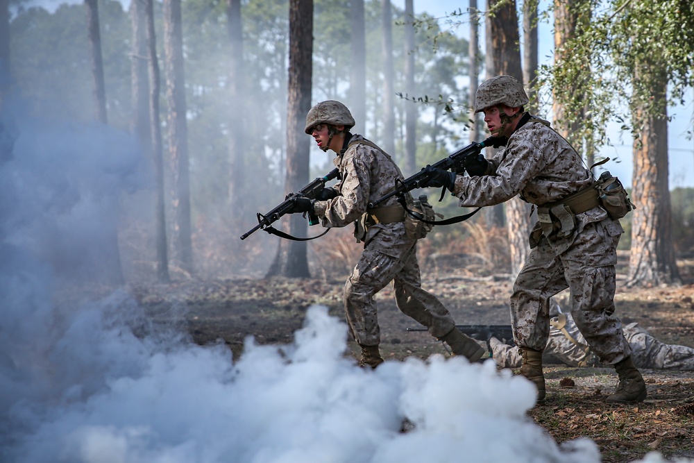 DVIDS - Images - Charlie Company Basic Warrior Training [Image 9 of 9]