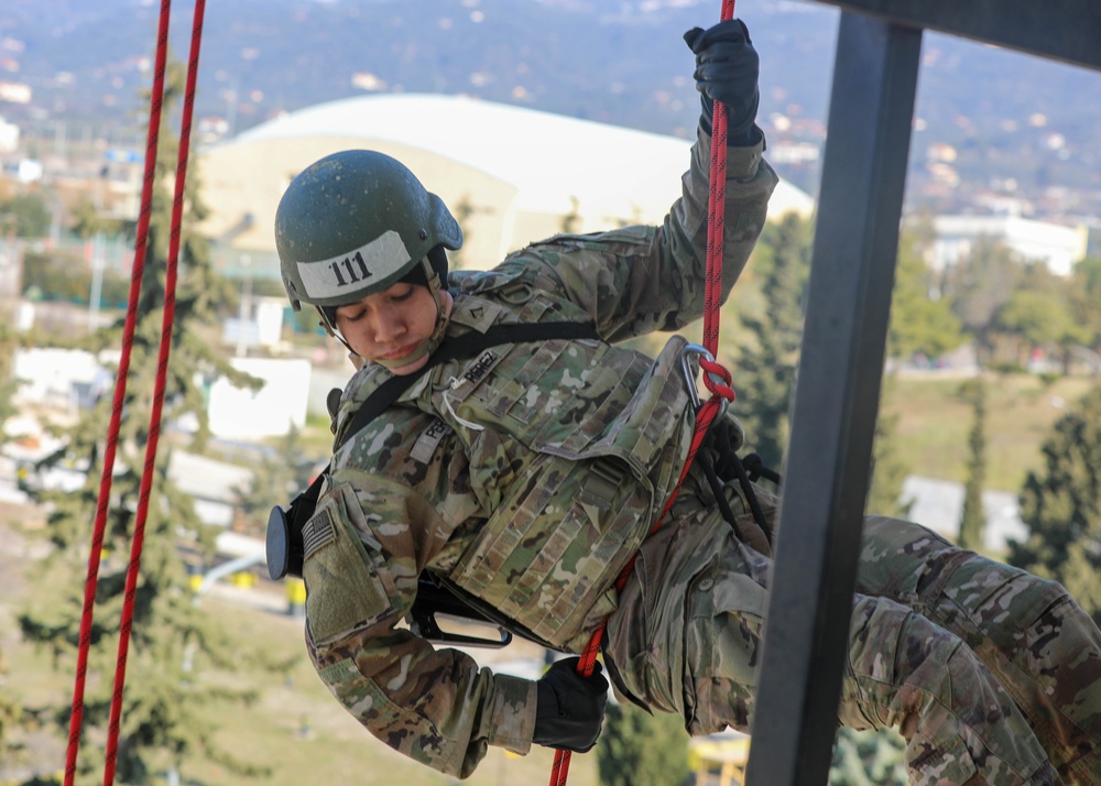 The 101st Air Assault Multi-national training in Greece