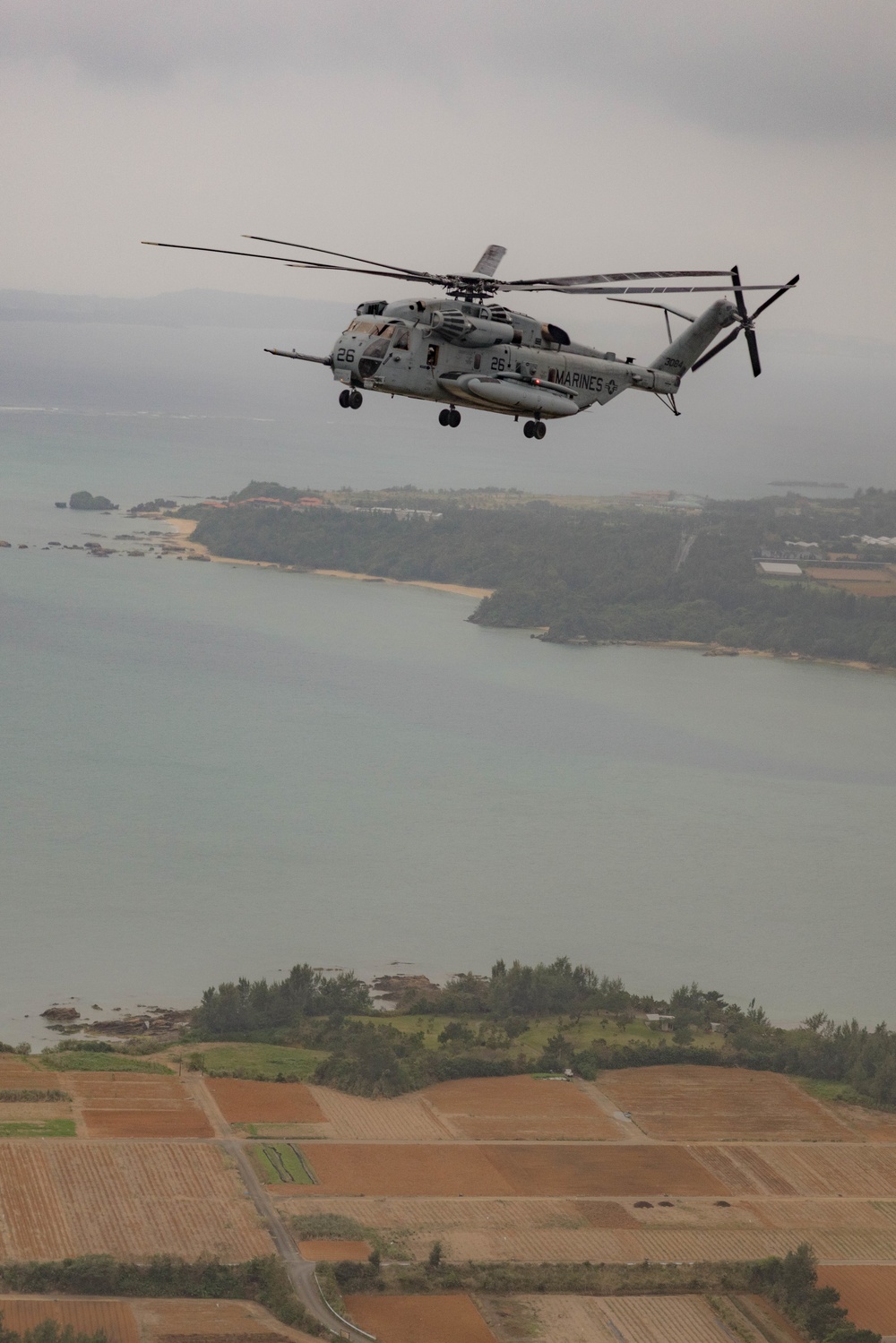 Marine Aviation Logistics Squadron 36 participates in Jungle Warfare Exercise 23.1