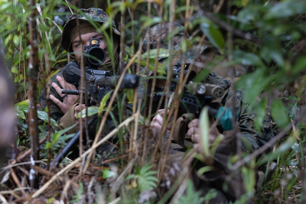 Jungle Warfare Exercise 23: Defense