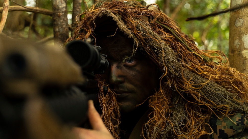 JWX 23 Ground Sensor Platoon