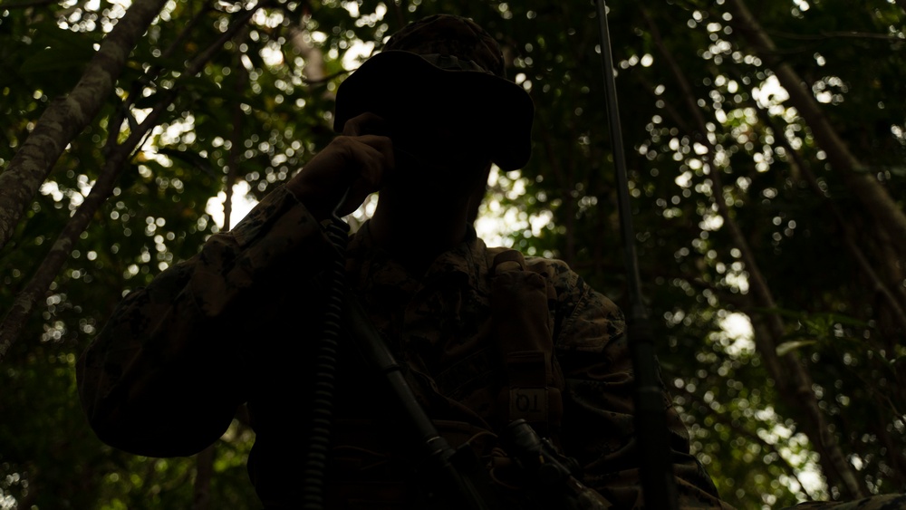 JWX 23 Ground Sensor Platoon