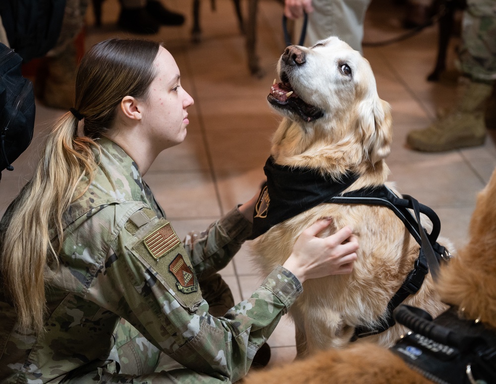 Air Force Mortuary Affairs Operations visits with K-9's from the Tri-State Canine Response Team