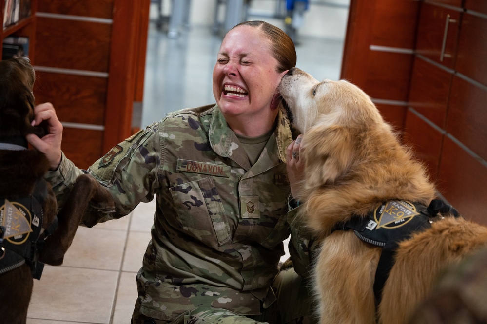 Air Force Mortuary Affairs Operations visits with K-9's from the Tri-State Canine Response Team