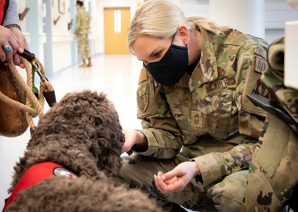 Pet morale visits relaunch at LRMC