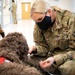 Pet morale visits relaunch at LRMC