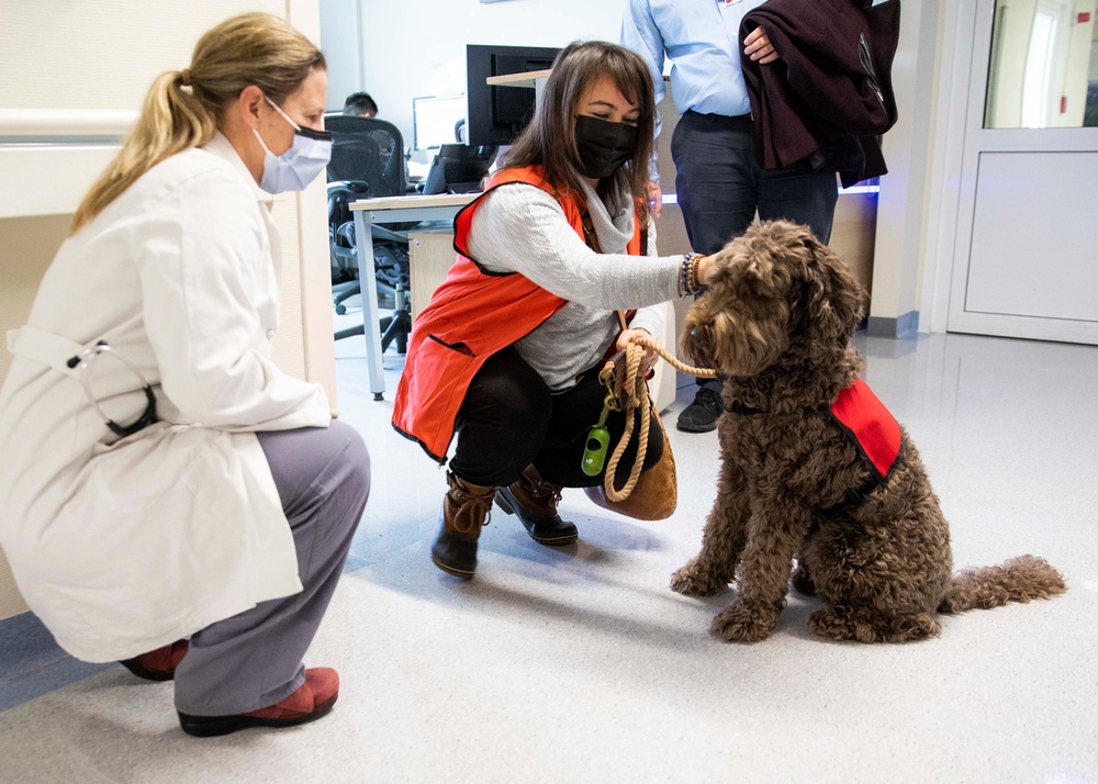 Pet morale visits relaunch at LRMC