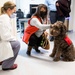 Pet morale visits relaunch at LRMC