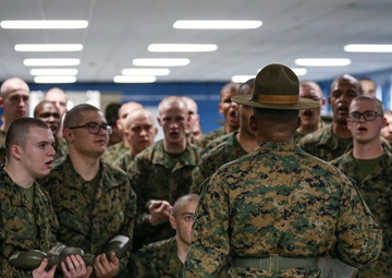 Mike Company Black Friday