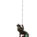 Dual Track High to Low - Casualty Extract