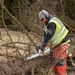 Base ground crew clears land for helipad