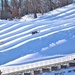West Salem students, school staff enjoy snowtubing at Fort McCoy's Whitetail Ridge Ski Area