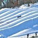West Salem students, school staff enjoy snowtubing at Fort McCoy's Whitetail Ridge Ski Area