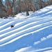 West Salem students, school staff enjoy snowtubing at Fort McCoy's Whitetail Ridge Ski Area