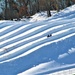 West Salem students, school staff enjoy snowtubing at Fort McCoy's Whitetail Ridge Ski Area