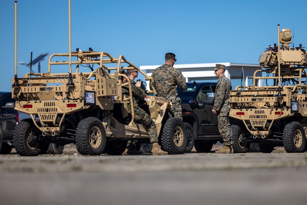 U.S. Marines 2D LAAD conduct LMADIS training