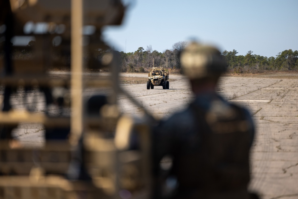 U.S. Marines 2D LAAD conduct LMADIS training