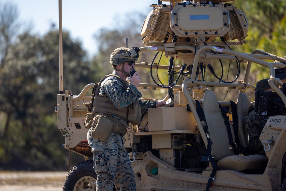 U.S. Marines 2D LAAD conduct LMADIS training