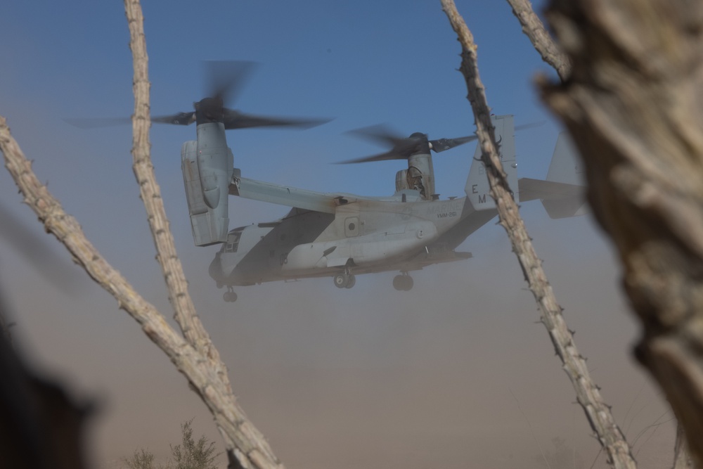 VMM-261 conducts low-visibility landings in the desert