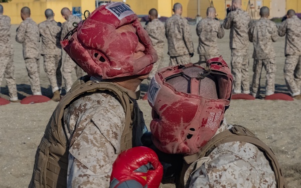 Golf Company Pugil Sticks and Body Sparring