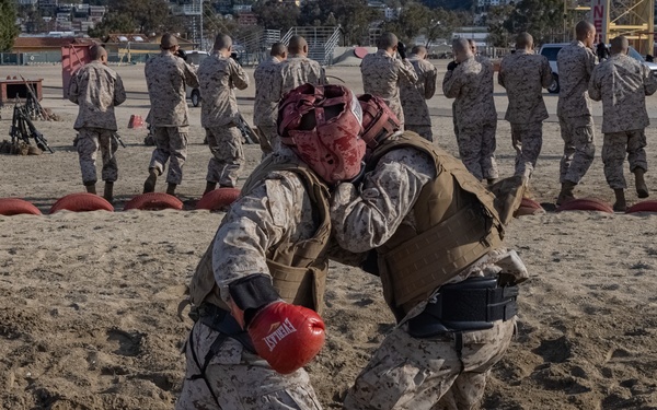 Golf Company Pugil Sticks and Body Sparring