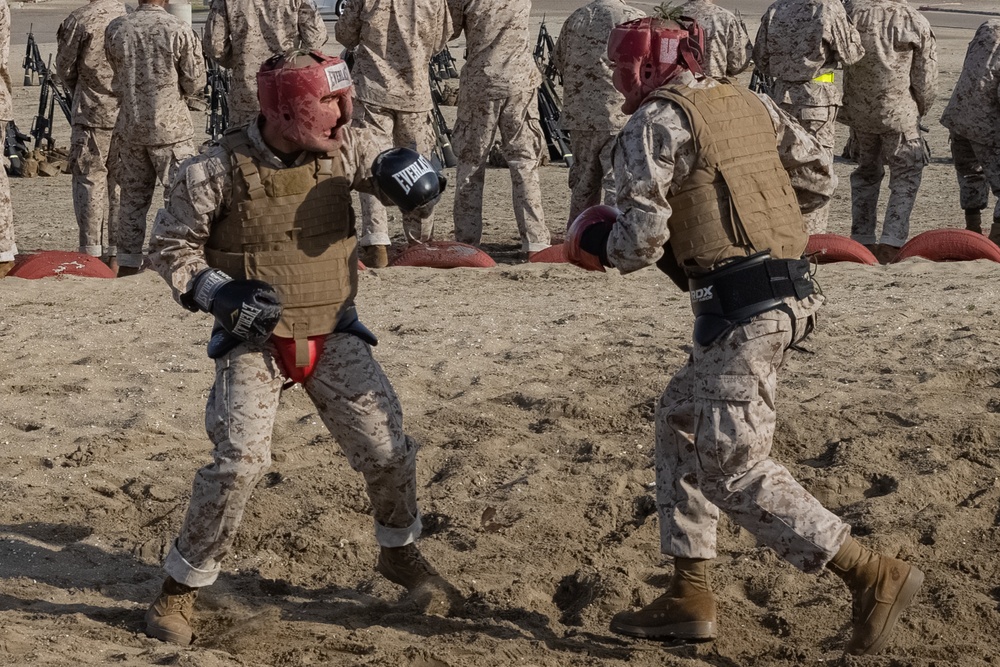 Golf Company Pugil Sticks and Body Sparring