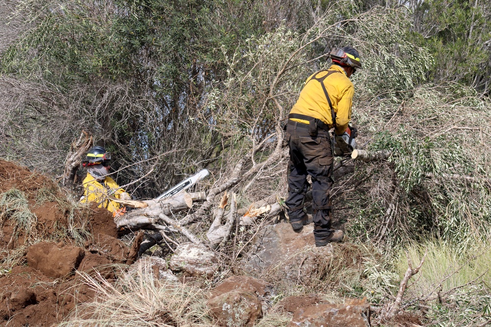 Keamuku Maneuver Area Complex Fire