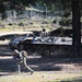 “Docs of The Rock” Train Cypriot Troops in TCCC