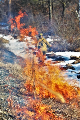 Fort McCoy holds 2023’s first prescribed burn at installation