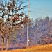 Fort McCoy holds 2023’s first prescribed burn at installation