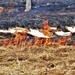 Fort McCoy holds 2023’s first prescribed burn at installation