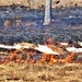 Fort McCoy holds 2023’s first prescribed burn at installation