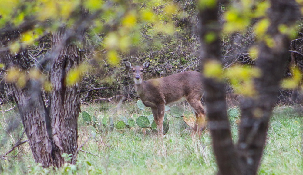 Becoming Outdoors Women Hunt at Waco Lake