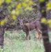 Becoming Outdoors Women Hunt at Waco Lake