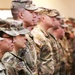 1744th Transportation Company Celebrates Successful Southwest Border Deployment