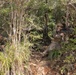 Jungle Warfare Exercise 23: Force-on-Force