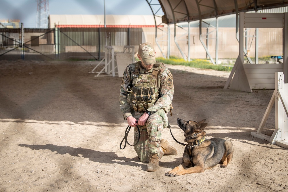 MWD bite demo: Canadian partners see capability