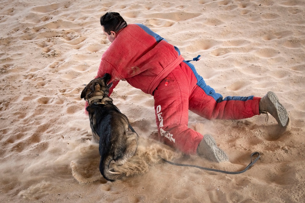 MWD bite demo: Canadian partners see capability