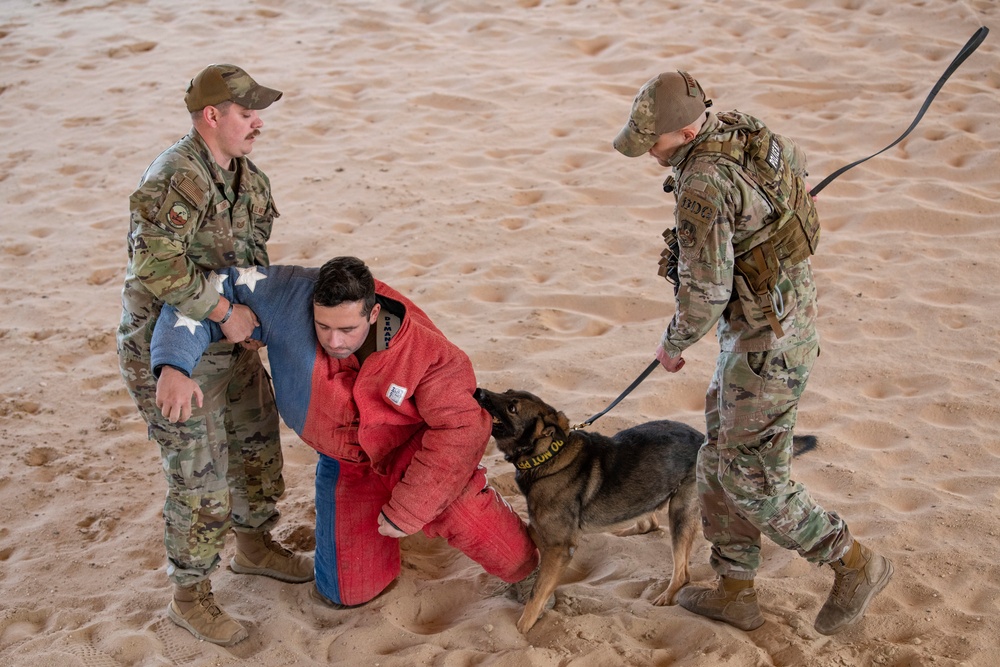 MWD bite demo: Canadian partners see capability