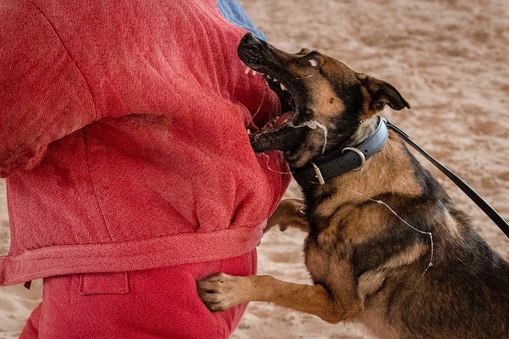 MWD bite demo: Canadian partners see capability