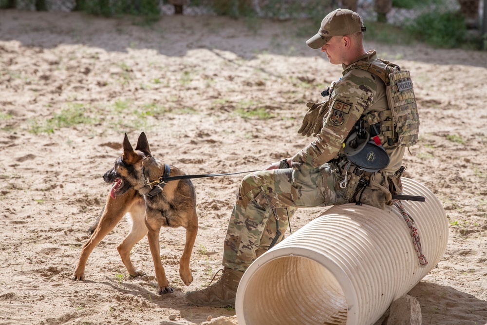 MWD bite demo: Canadian partners see capability