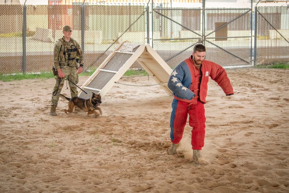 MWD bite demo: Canadian partners see capability