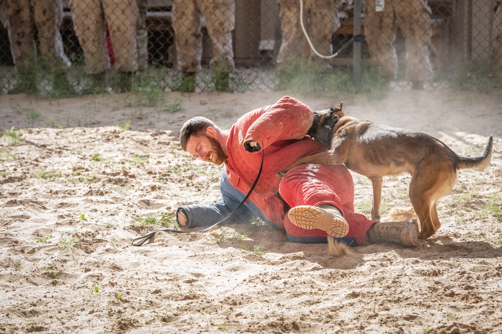 MWD bite demo: Canadian partners see capability