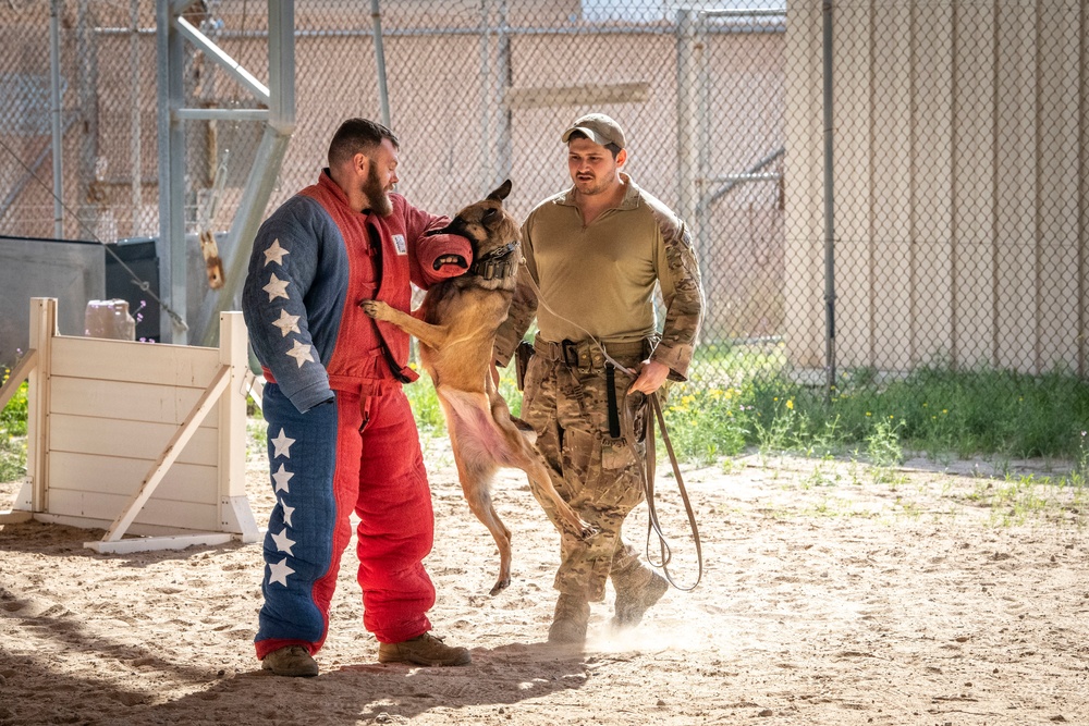 MWD bite demo: Canadian partners see capability