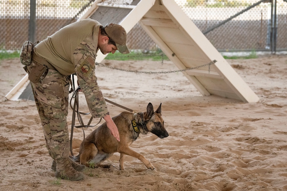 MWD bite demo: Canadian partners see capability