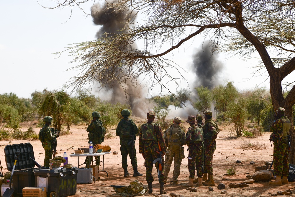 U.S. Army and Kenyan Defence Forces EOD Training