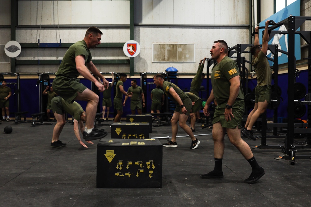 3rd ANGLICO Marines conduct PT with IDF during Intrepid Maven 23.2